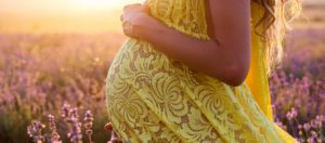 Close-up of a pregnant woman in a yellow lace dress, holding her belly in a lavender field at sunset, highlighting warm golden hues and serene ambiance at Med Spa Lincoln NE.