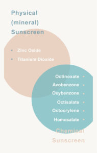 Infographic depicting two overlapping circles labeled "physical (mineral) sunscreen" and "chemical sunscreen" with ingredients like titanium dioxide listed under physical and various others under chemical.