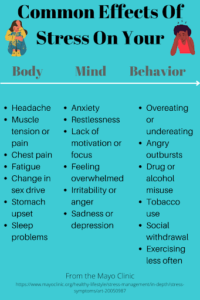 An infographic titled "common effects of stress on your body, mind, behavior" lists symptoms in three columns: muscle pain, chest pain, etc., restlessness, lack of motivation, etc., and overeating, drug use, etc. the source link is at the bottom.